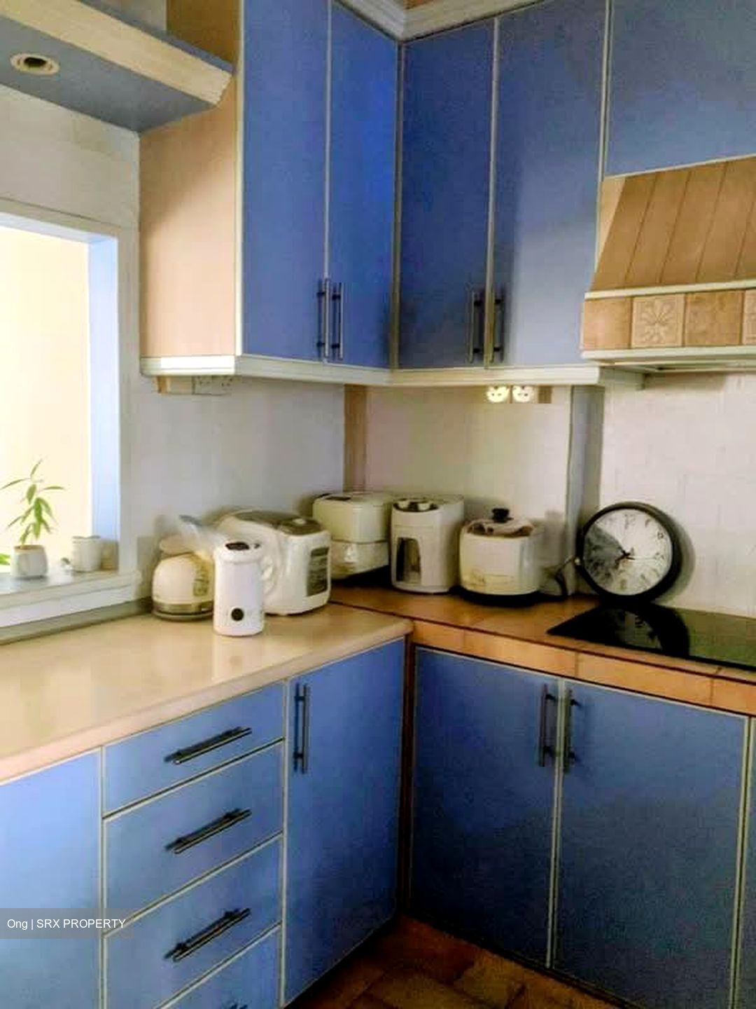 Blk 524 Pangshan Valley (Bukit Panjang), HDB 5 Rooms #558249091